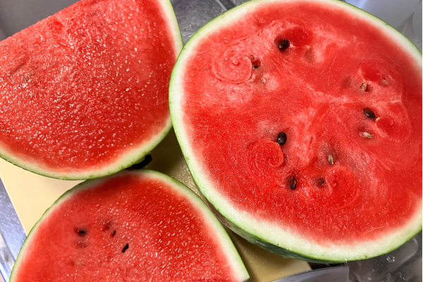 かき氷の会のスイカ